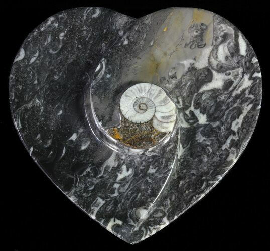 Heart Shaped Fossil Goniatite Dish #61303